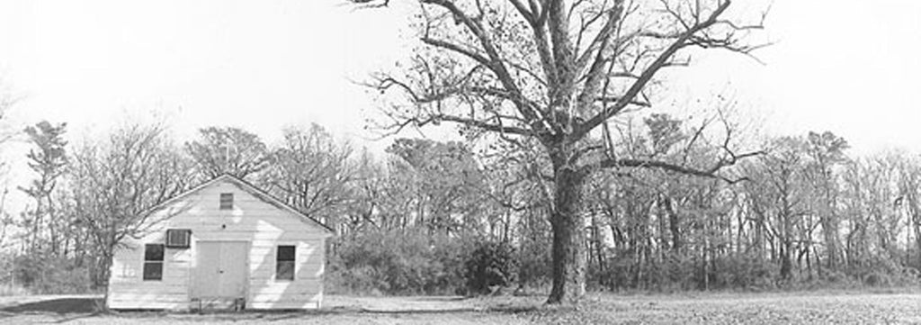 image of tiny church by a tree in the Mississippi delta