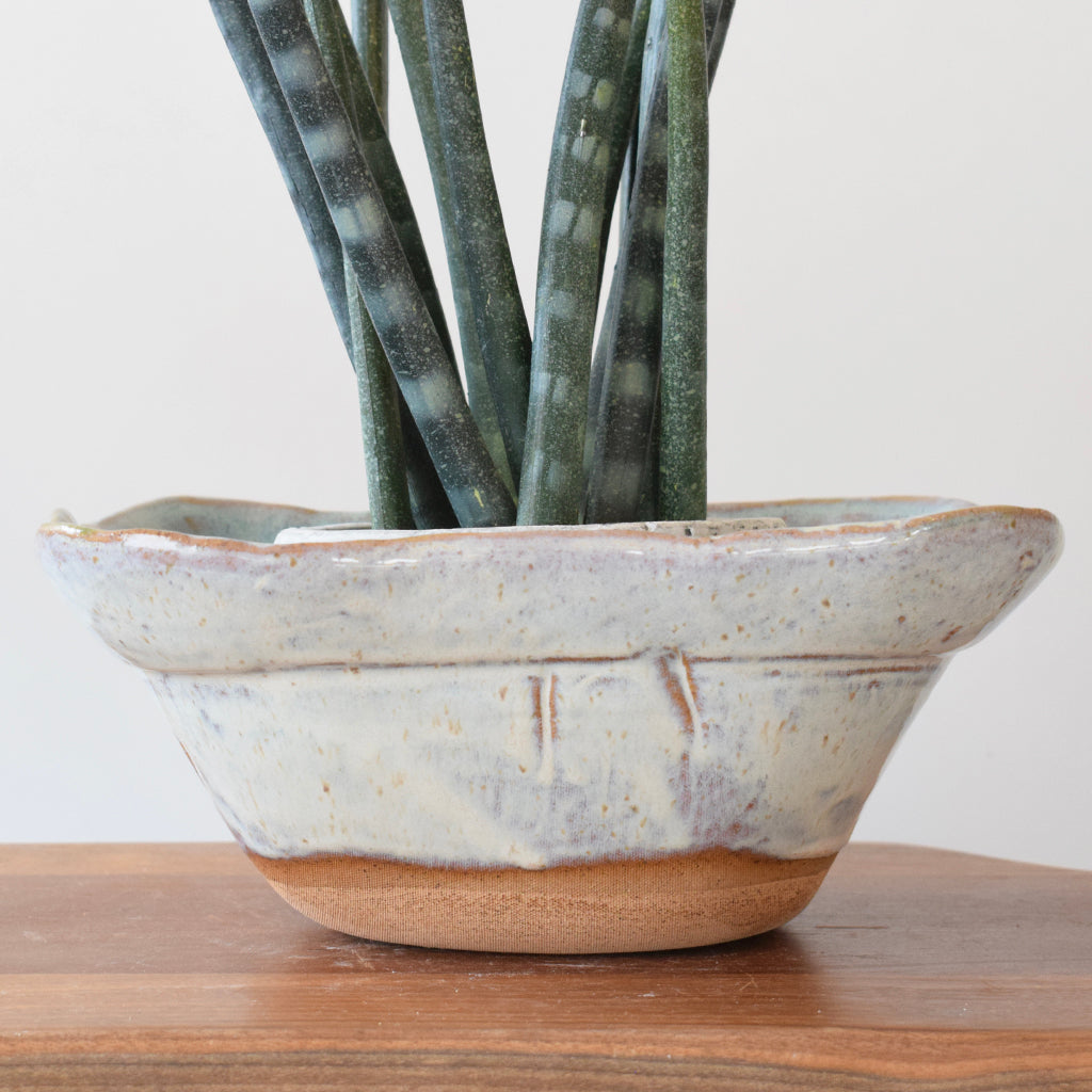 Deep Square Bowl Seaside - TheMississippiGiftCompany.com