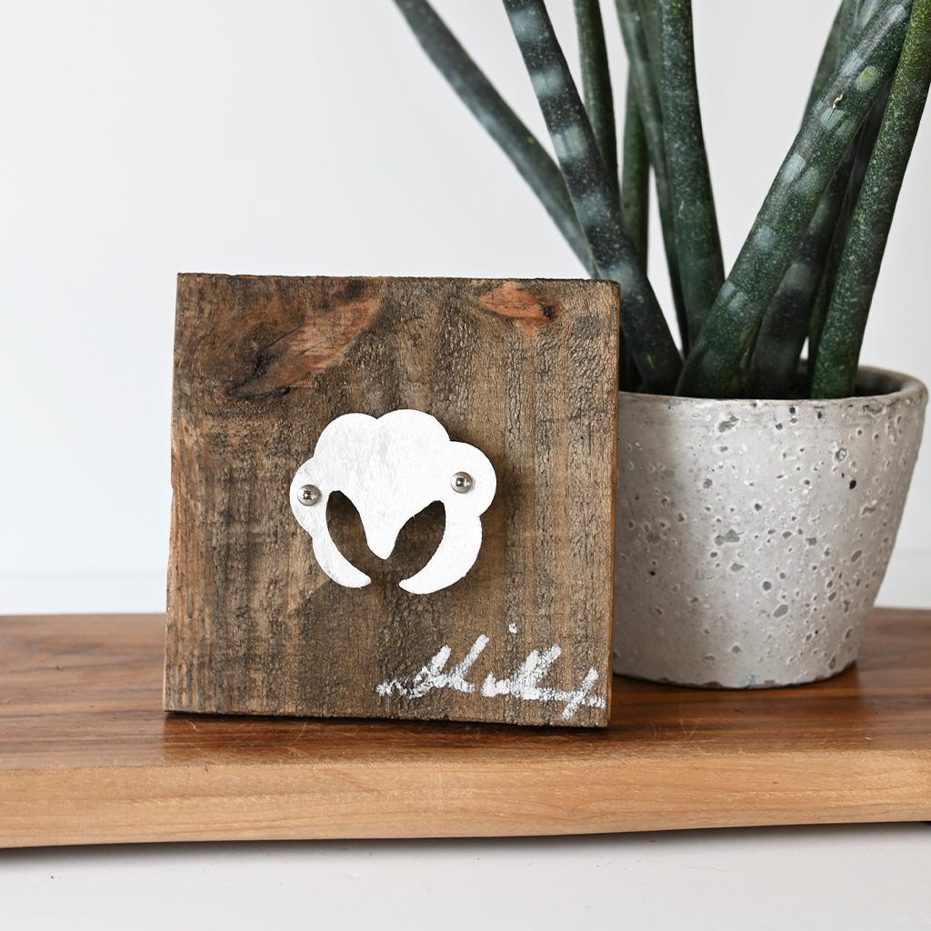 John Wilcoxon Extra Small Cotton Boll