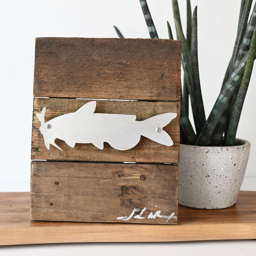 John Wilcoxon Small Catfish