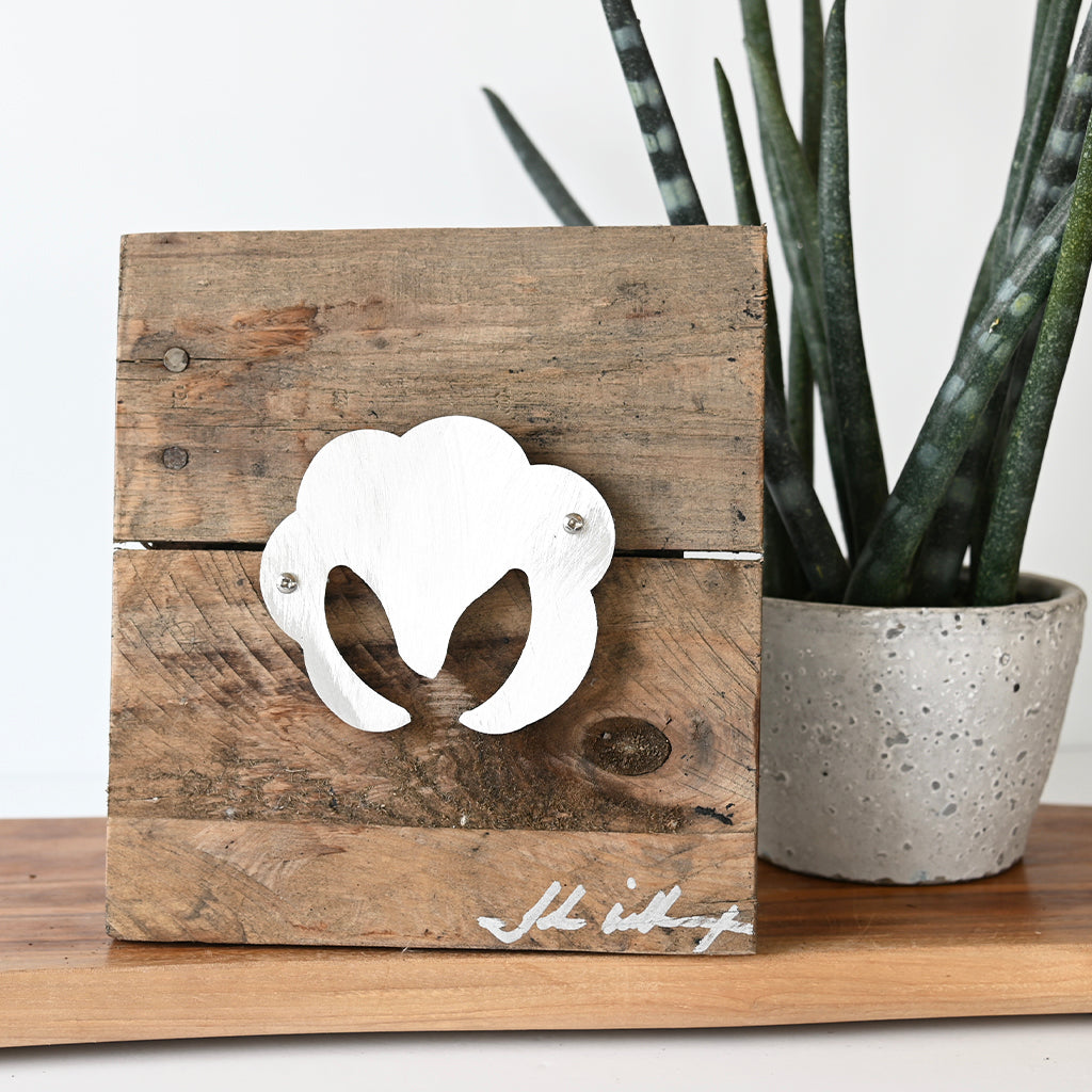 John Wilcoxon Small Cotton Boll