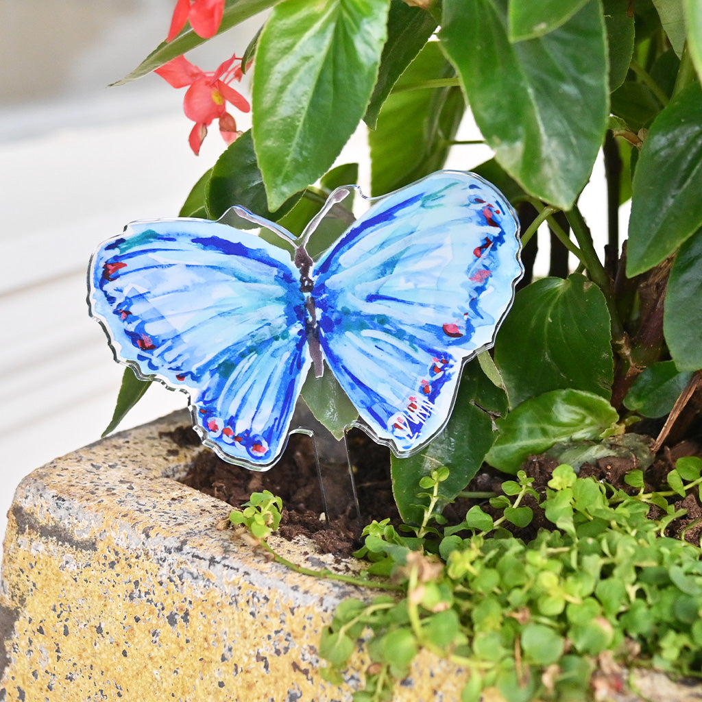 Blue Butterfly Acrylic Plant Stake - TheMississippiGiftCompany.com
