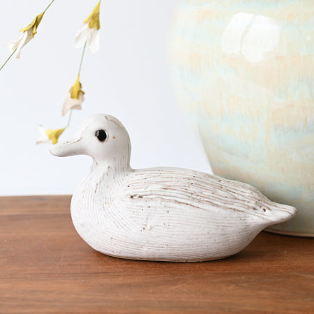 Small Duck White