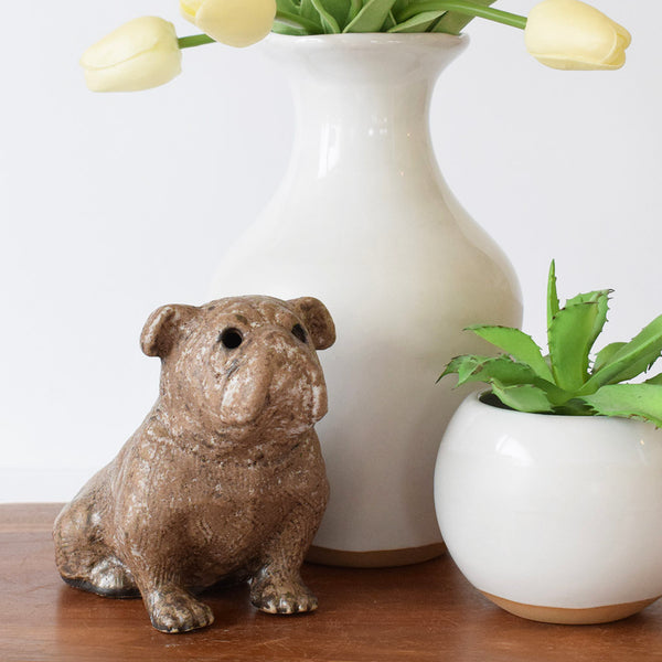 Small Bulldog Nutmeg | TheMississippiGiftCompany.com