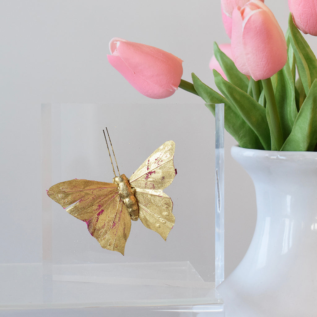 Acrylic Block Gold Butterfly - TheMississippiGiftCompany.com