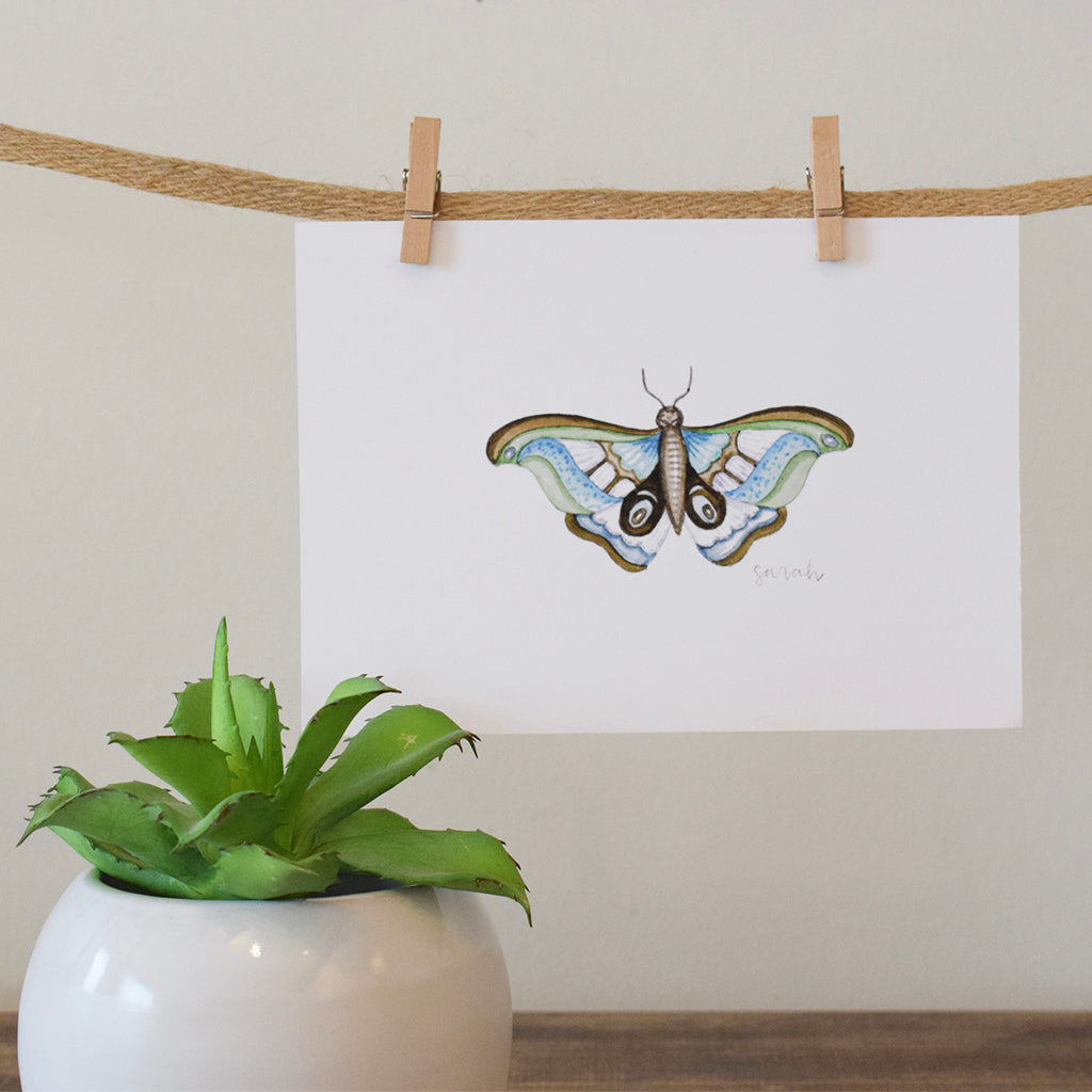 Sarah McCullen Original Watercolor Print- Teal Moth - TheMississippiGiftCompany.com