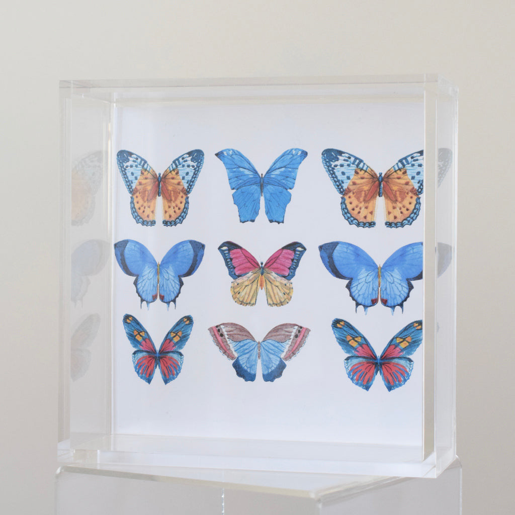 Acrylic Tray Butterflies - TheMississippiGiftCompany.com