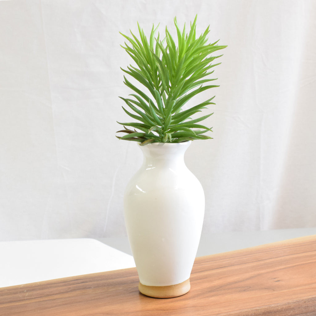 Bud Vase-Simply White - TheMississippiGiftCompany.com