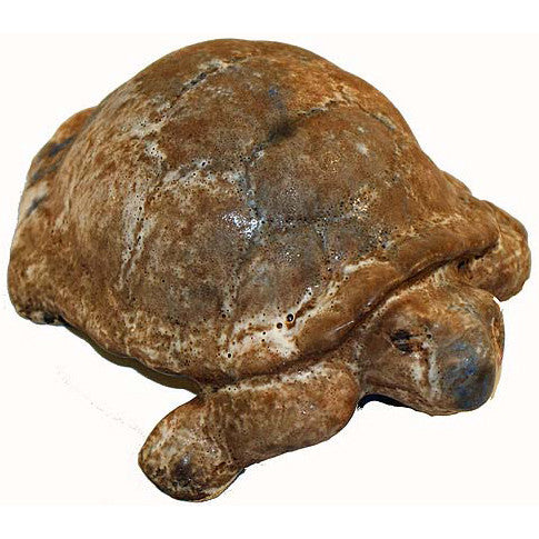Turtle- Nutmeg - TheMississippiGiftCompany.com