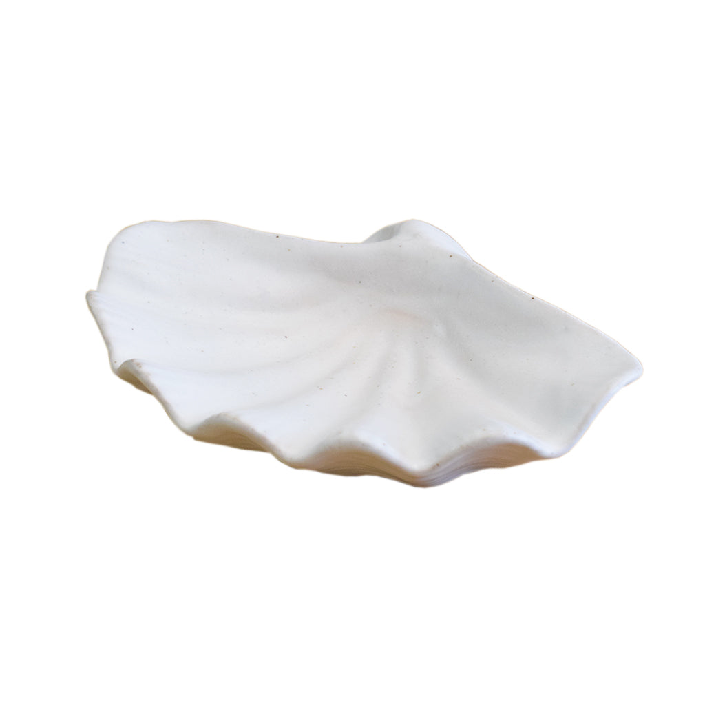 Small Shell White - TheMississippiGiftCompany.com